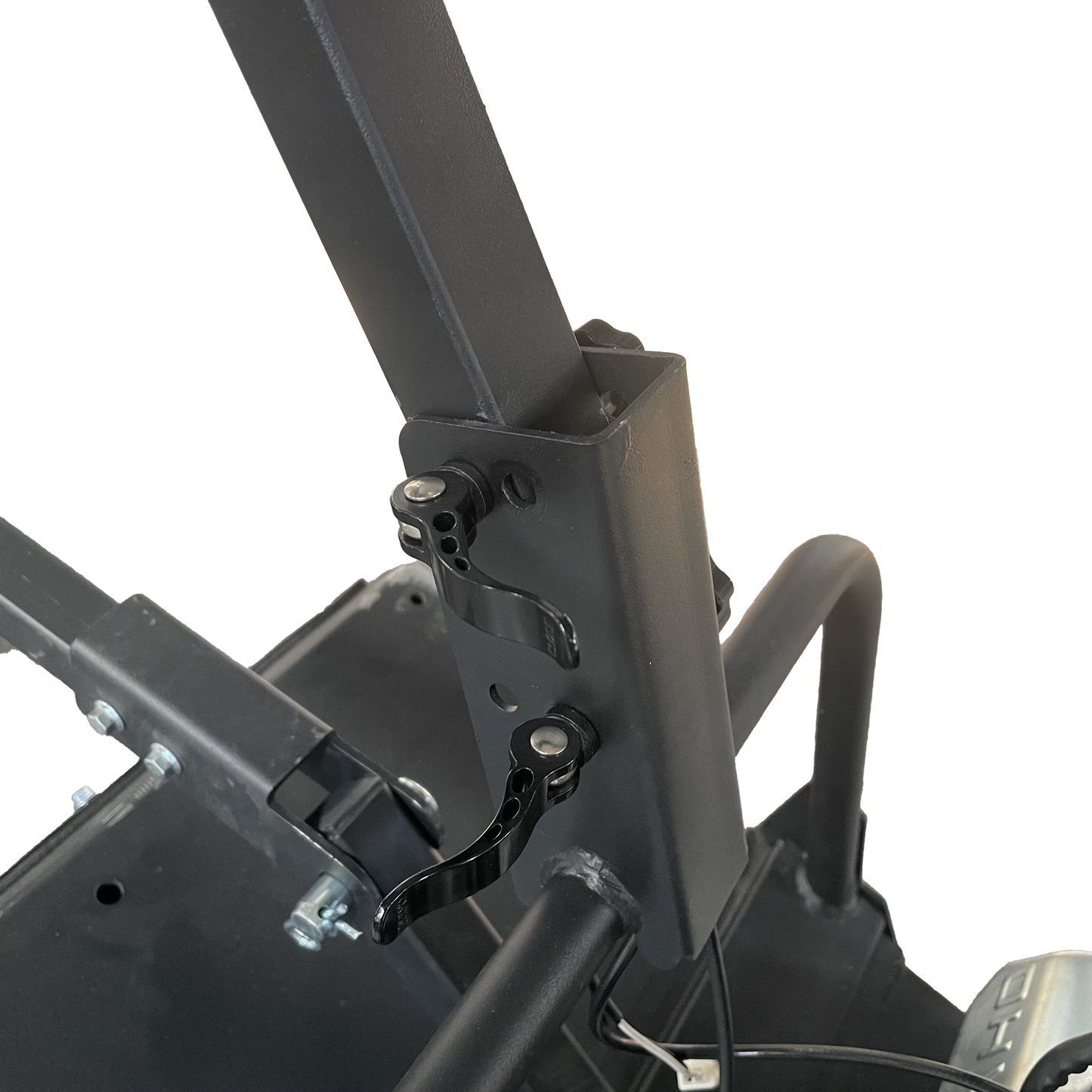 Mini leopard(currently out of stock can take pre order)