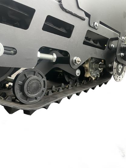 Mini leopard(currently out of stock can take pre order)