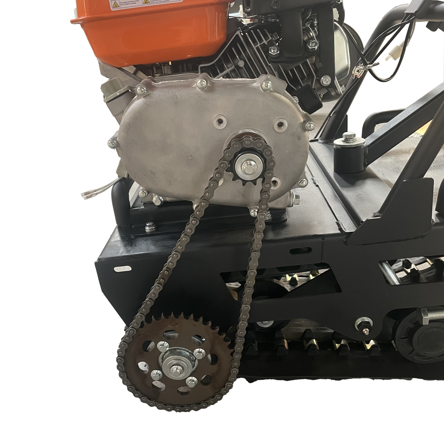 Mini leopard(currently out of stock can take pre order)