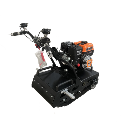 Mini leopard(currently out of stock can take pre order)