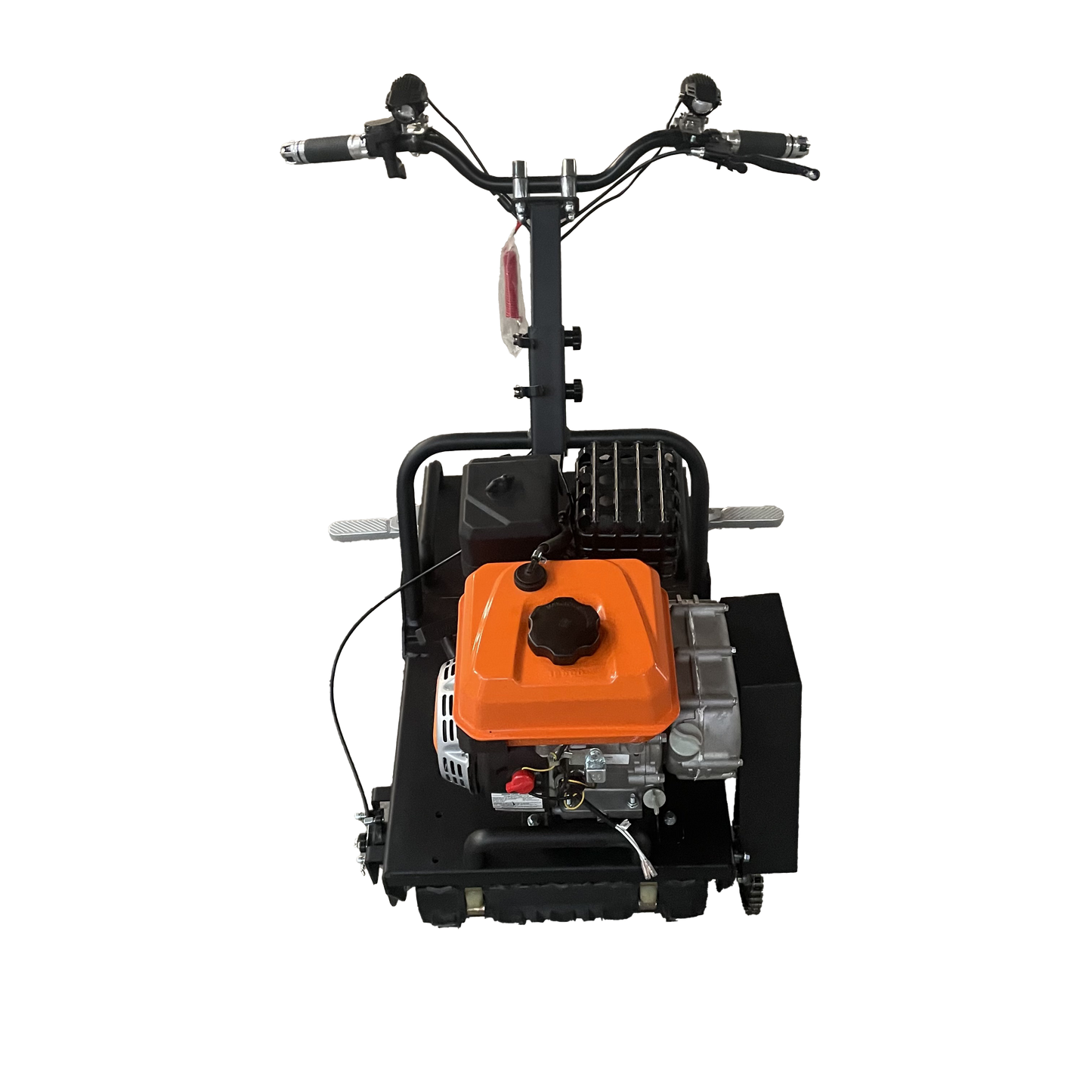 Mini leopard(currently out of stock can take pre order)