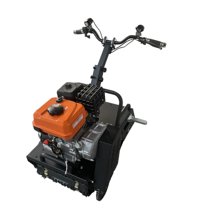 Mini leopard(currently out of stock can take pre order)