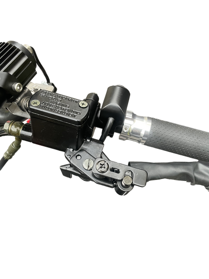 Mini leopard(currently out of stock can take pre order)