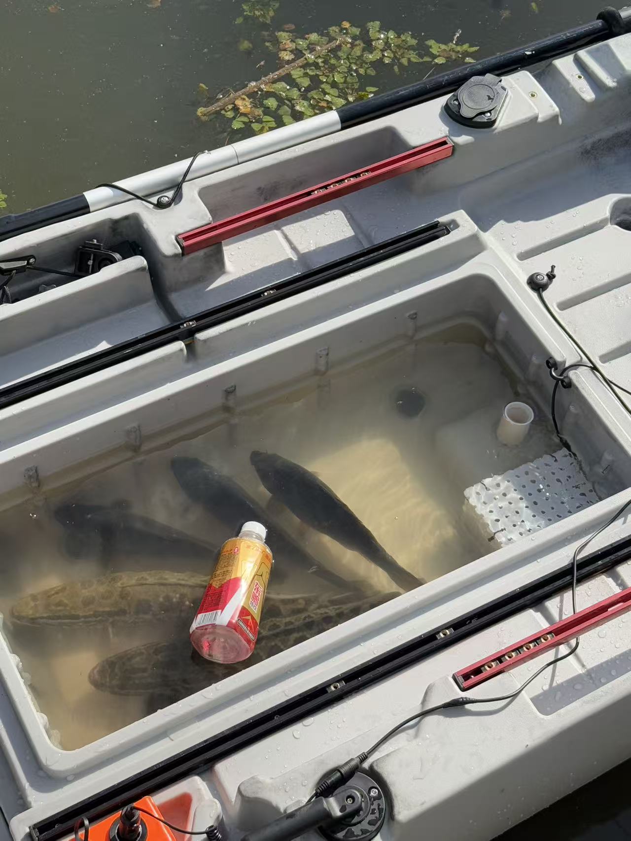 Modular fishing kayak with livewell(preorder)