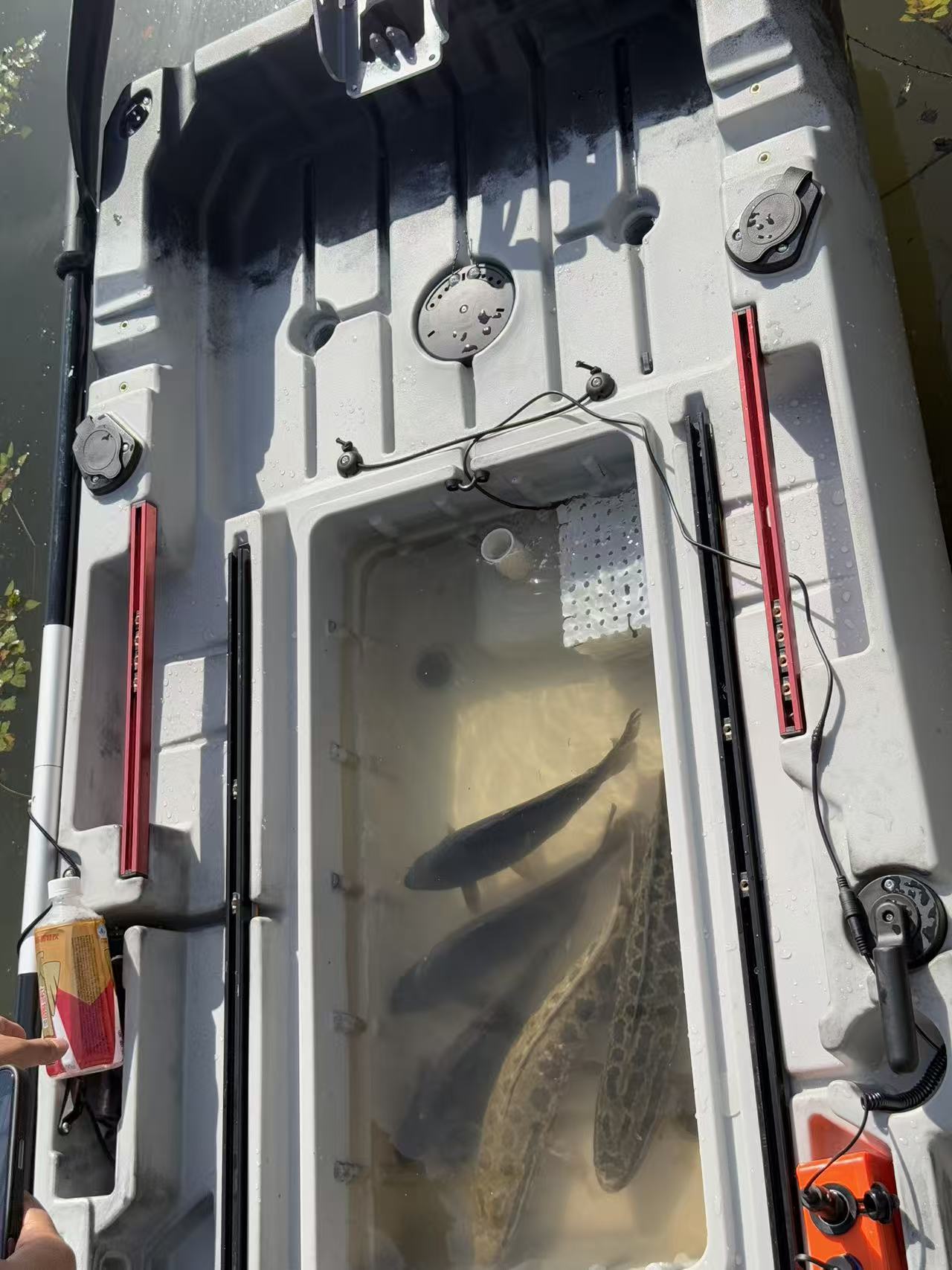 Modular fishing kayak with livewell(preorder)