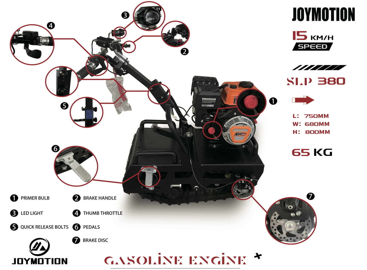 Mini leopard(currently out of stock can take pre order)