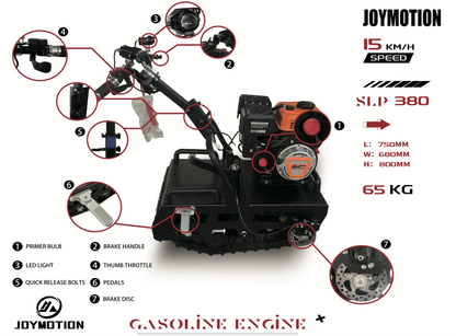 Mini leopard(currently out of stock can take pre order)