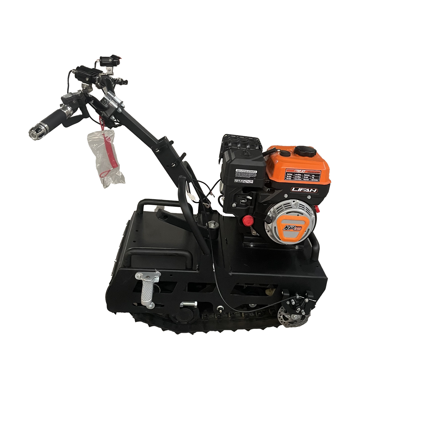 Mini leopard(currently out of stock can take pre order)