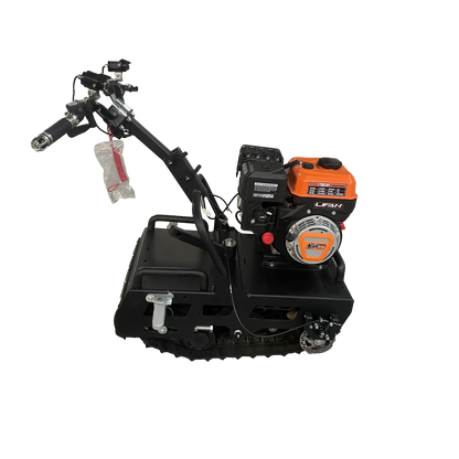 Mini leopard(currently out of stock can take pre order)