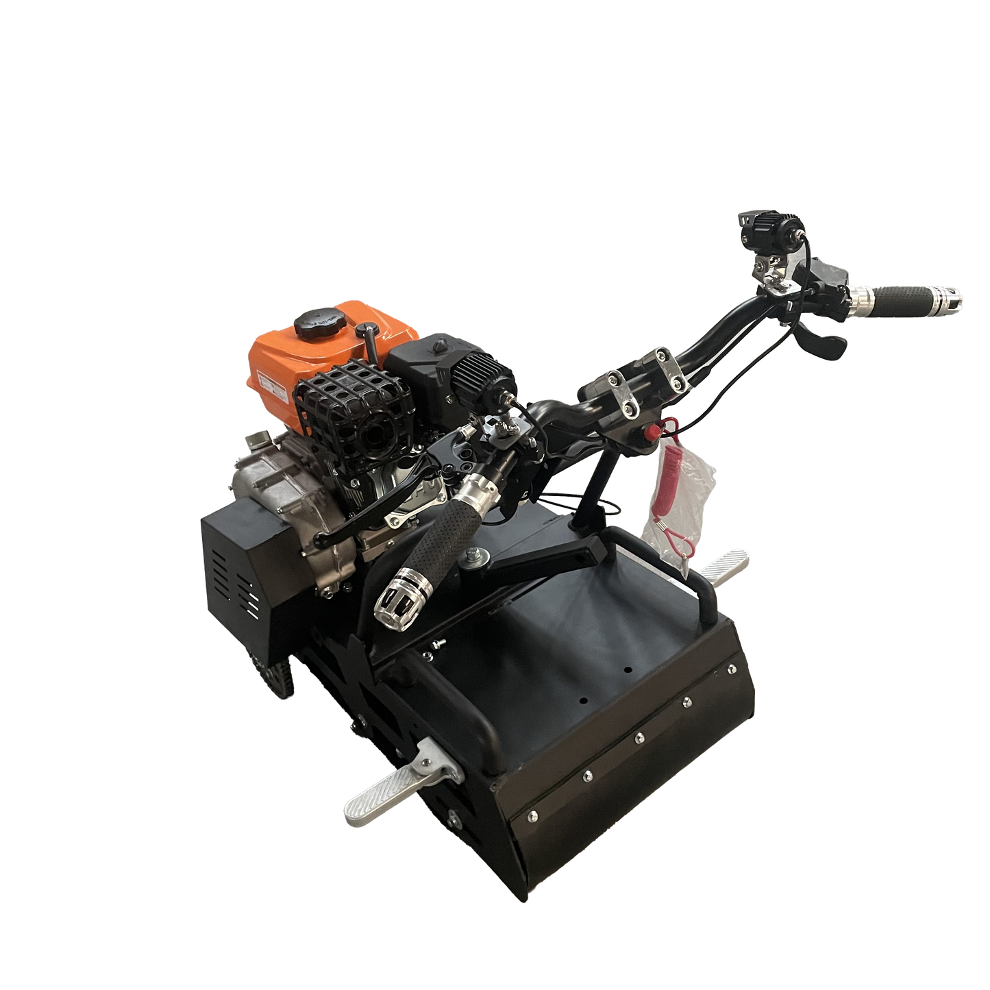 Mini leopard(currently out of stock can take pre order)