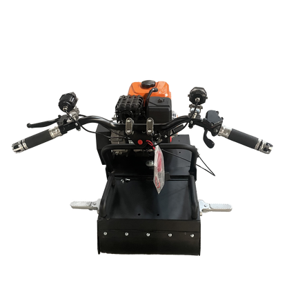 Mini leopard(currently out of stock can take pre order)